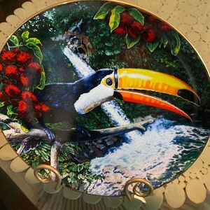 Toco Toucan decorative plate